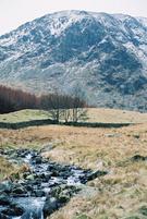 patterdale1.jpg