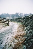 snowytrack-2.jpg