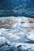 snowytrack-3.jpg