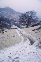 snowytrack-4.jpg