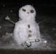 snowman.jpg