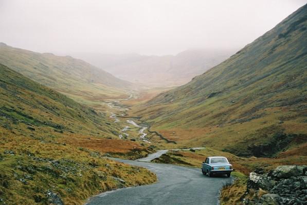 Volvo 164 looking at rhino's bottom